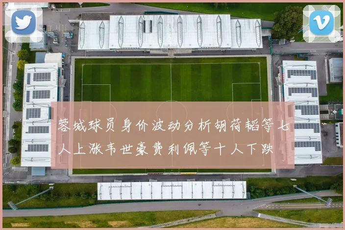 蓉城球员身价波动分析胡荷韬等七人上涨韦世豪费利佩等十人下跌