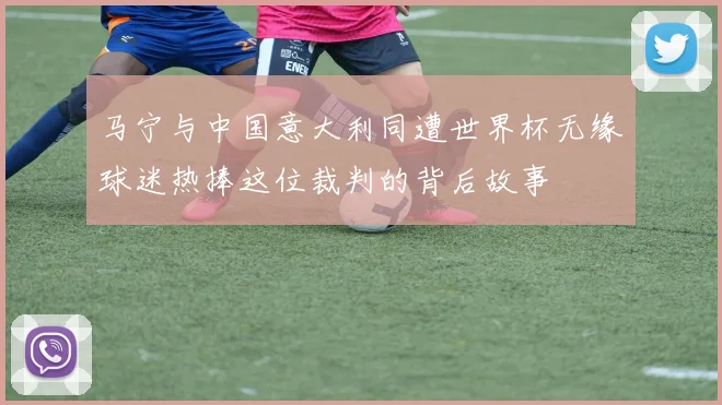 马宁与中国意大利同遭世界杯无缘球迷热捧这位裁判的背后故事