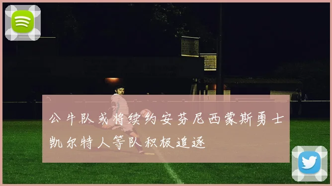 公牛队或将续约安芬尼西蒙斯勇士凯尔特人等队积极追逐