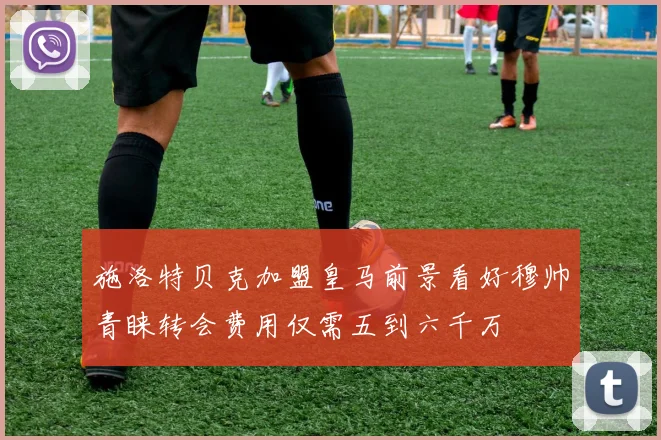 施洛特贝克加盟皇马前景看好穆帅青睐转会费用仅需五到六千万