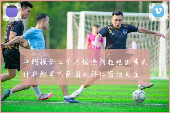 海鸥报价三千万镑热刺拒绝出售武什科维奇巴萨国米拜仁密切关注